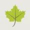 Nature Sounds and Ringtones