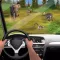 Safari Park Adventure – Wild Animal Attack Escape