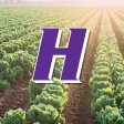 Hummert Expo