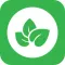 中药中医学习-中草药本草纲目大全