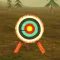 3D Bow and Arrow Archery Games