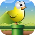 Flappy Bird's Family