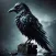 Raven Crow Bird Simulator 3D