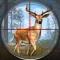 Wild Animal Shooting Games