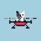 Little Drone