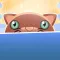 Kitty Hates Water