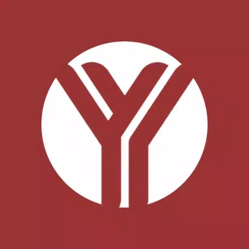 StripChat-online experience StripChat-online experience