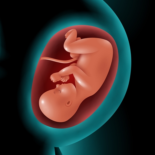 Astha Pregnancy