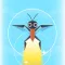 Water Strider