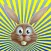 Bunny Egg Hunt