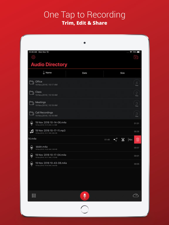 تصاویر Voice Recorder Plus Pro iPad