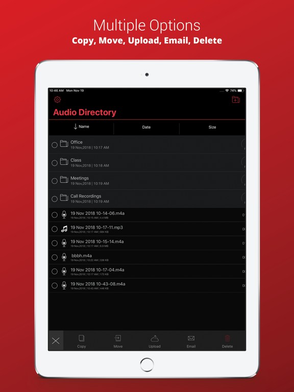تصاویر Voice Recorder Plus Pro iPad