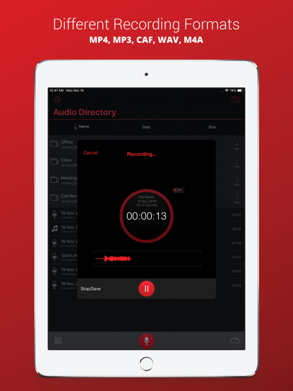 تصاویر Voice Recorder Plus Pro iPad
