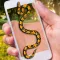 Snake Screen Prank
