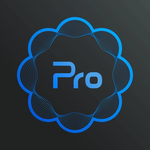 KanDao Obsidian Pro KanDao Obsidian Pro