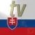 Slovak TV+