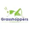 Grasshoppers.