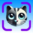Cat Identifier AI Cat Identifier AI