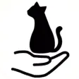 Touching Cat AR