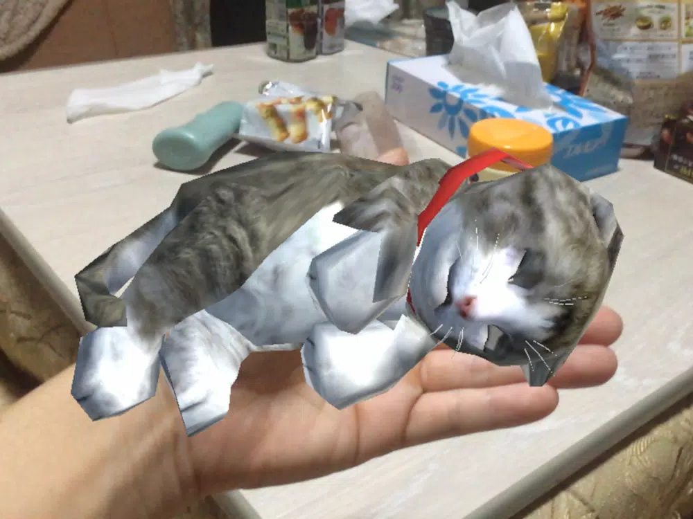 Touching Cat AR iPad Screenshots