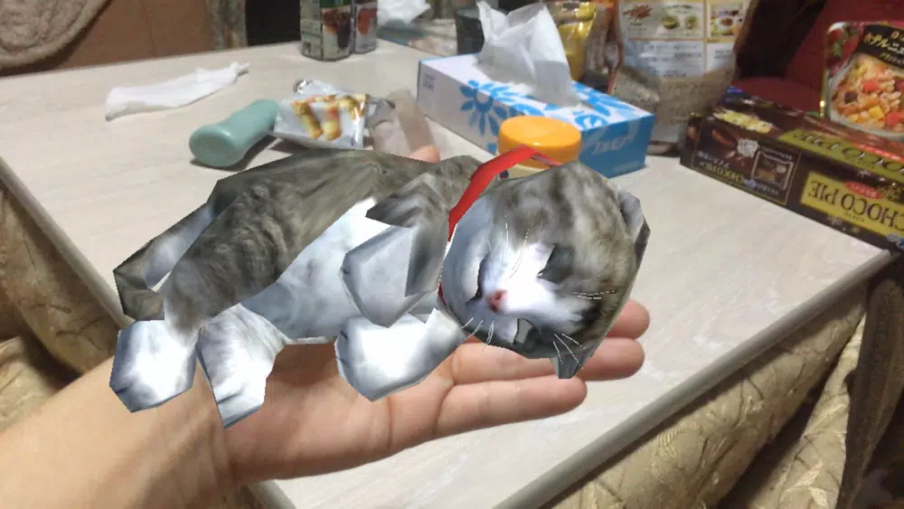Touching Cat AR Screenshots