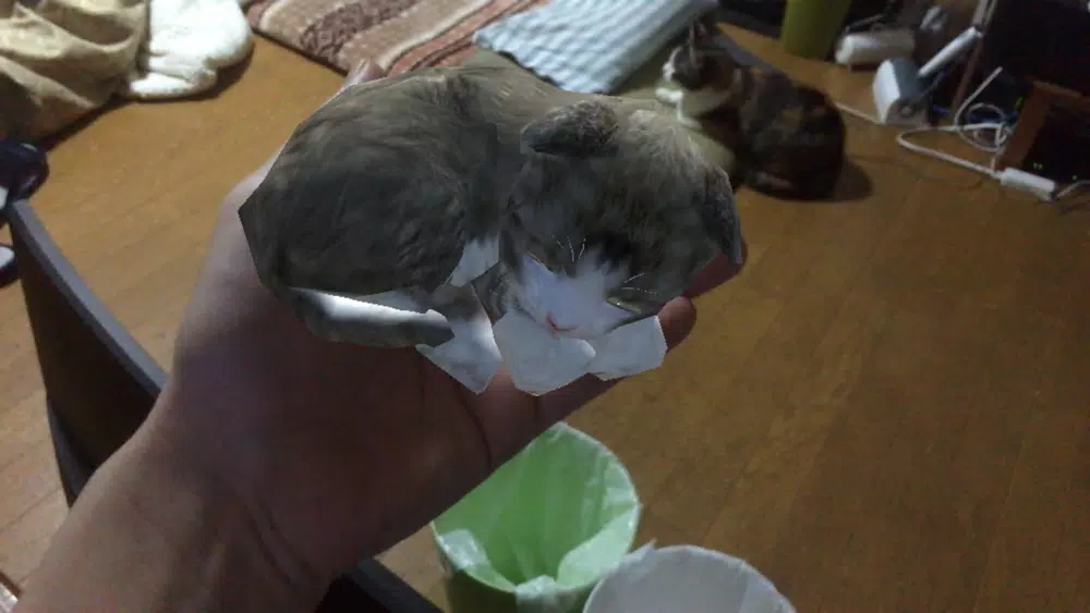 Touching Cat AR Screenshots