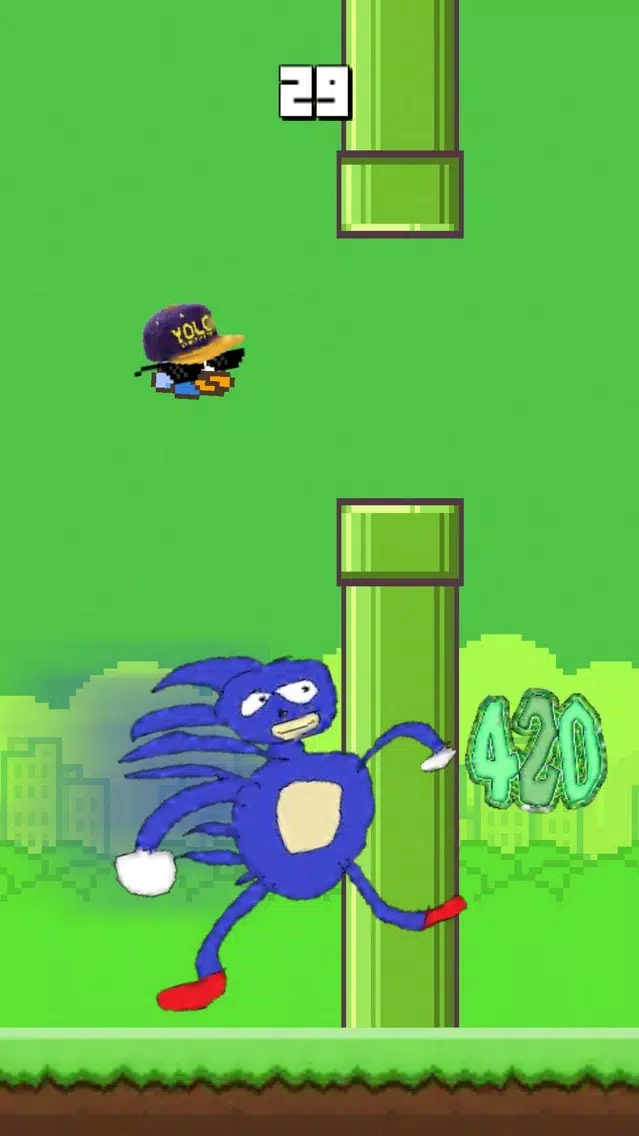 Ảnh chụp màn hình của Bird 420 - MLG Flappy edition