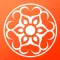Yoga Tribe Brooklyn