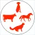 Animal  & Veterinary Drugs