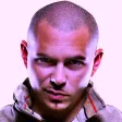 Rapperworld : Pitbull Edition