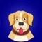 Calm Your Dog