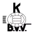 Bocholt VV