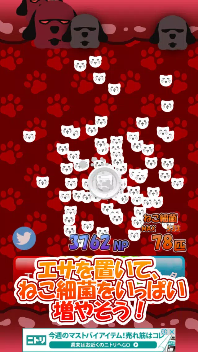 ภาพหน้าจอของ ねこ細菌
