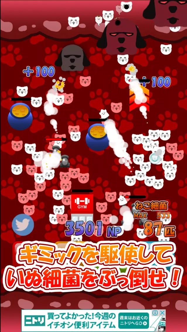 ภาพหน้าจอของ ねこ細菌
