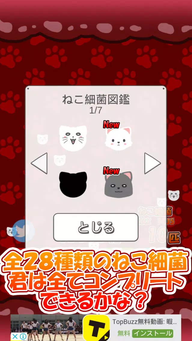 ภาพหน้าจอของ ねこ細菌