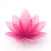 Kegel Pelvic Floor Exercises