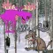 Moose Attack!