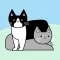 Meowx3 Cat Data Health Tracker
