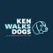 Ken Walks Dogs