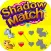 The Shadow Matching
