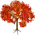 Seasons Harvest