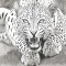Animals Stickers Pack