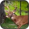 Wild Hunting: Jungle Animal Sniper Shoot