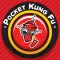 Pocket Kung Fu Robot