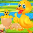 Duckling Pet Care & Hatching- Animal Spa Salon Duckling Pet Care & Hatching- Animal Spa Salon
