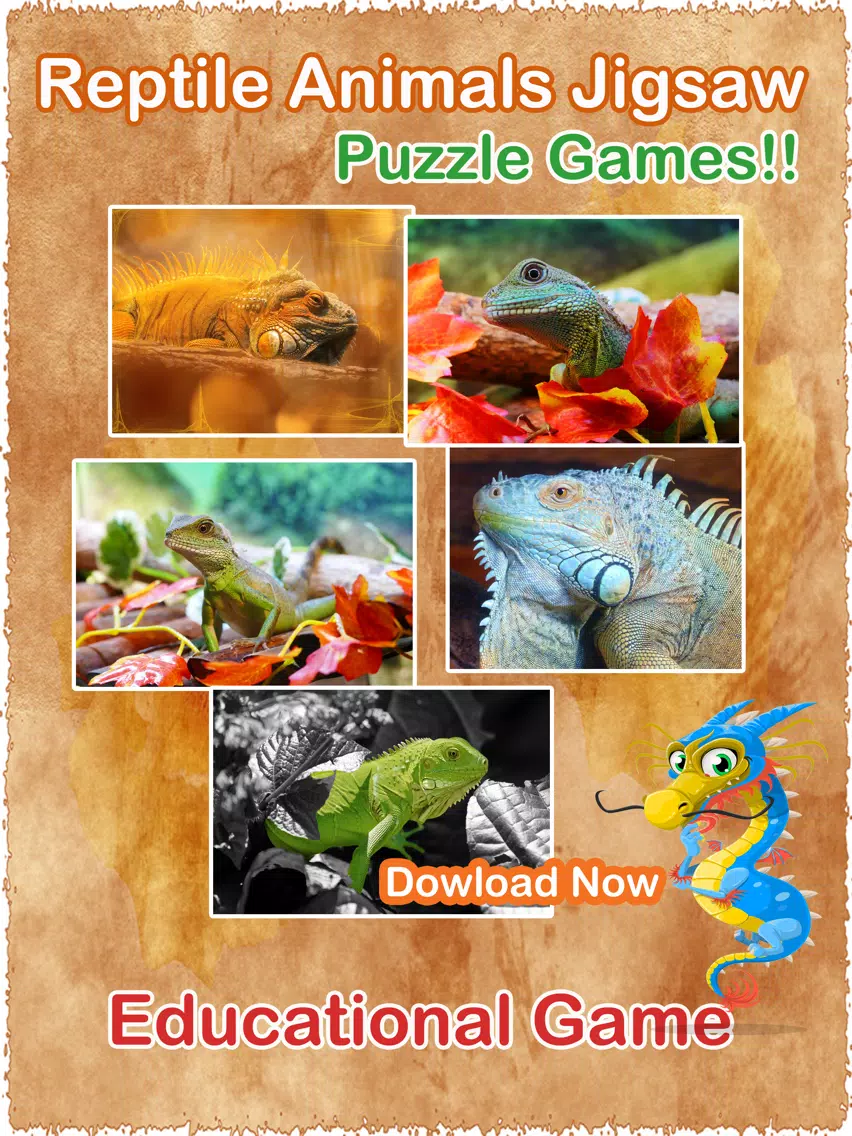 Dragon Puzzles Game Free Animated Jigsaw Puzzle for Kids! iPad Ekran Görüntüleri