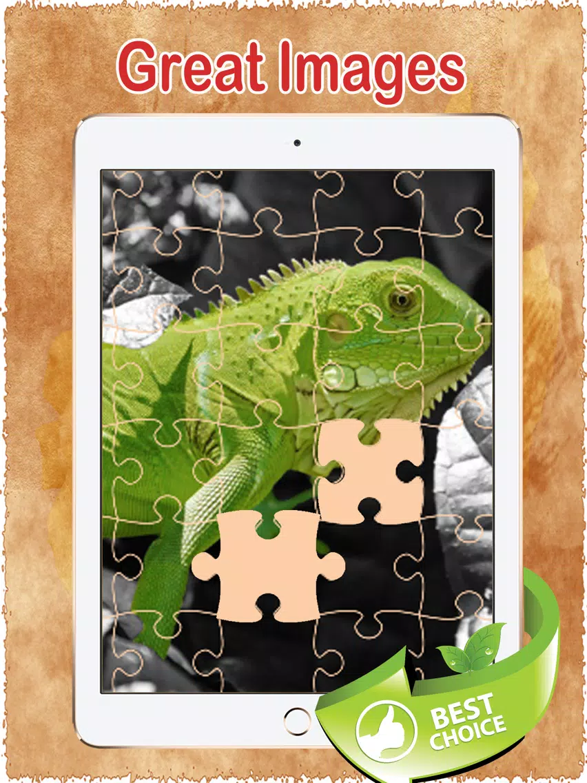 Dragon Puzzles Game Free Animated Jigsaw Puzzle for Kids! iPad Ekran Görüntüleri