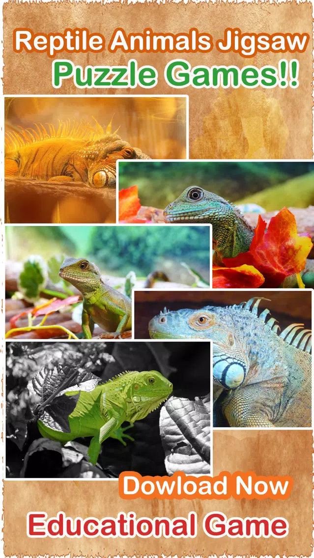 Dragon Puzzles Game Free Animated Jigsaw Puzzle for Kids! Ekran Görüntüleri