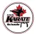 Lewis Karate Schools