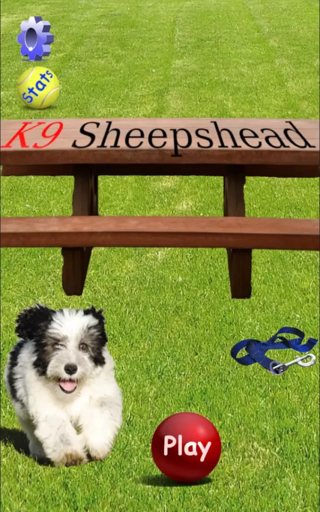 K9 Sheepshead (Schafkopf) Screenshots